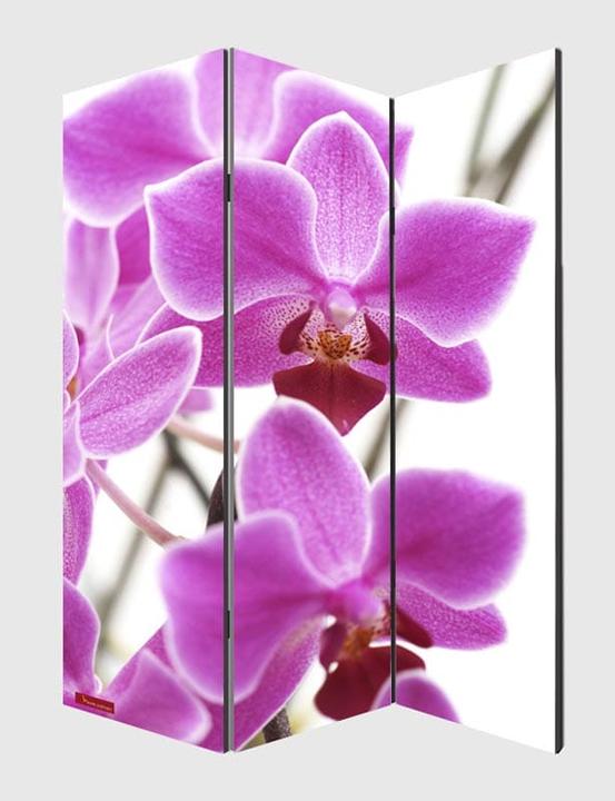 Produktbild Jamb Orchidee
