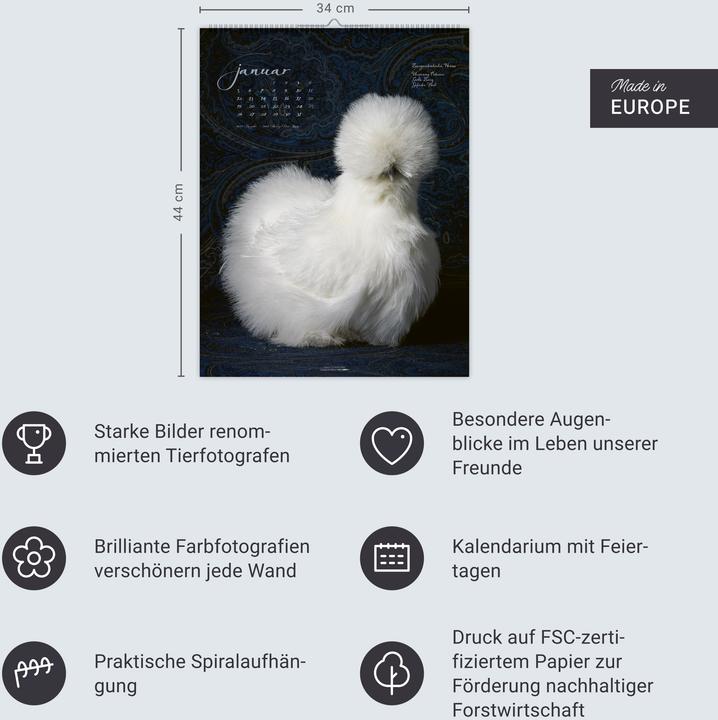 Produktbild Pretty Chicks Kalender 2026 (34 x 44 cm, Deutsch)