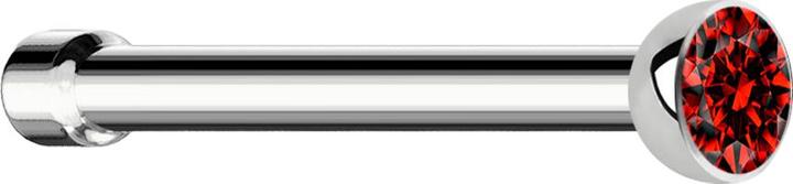 Image du produit Star Piercing Clou de nez droit argenté avec cristal rouge (Acier chirurgical 316L, sans laiton)