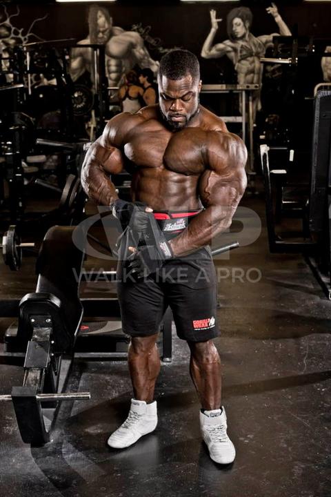 Actual product image Schiek Lifting Gloves Model 540 Platinum Series BLACK (XL)