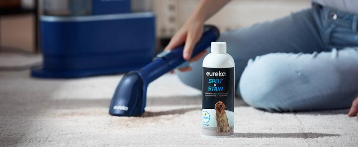 Immagine prodotto Eureka NEY 100