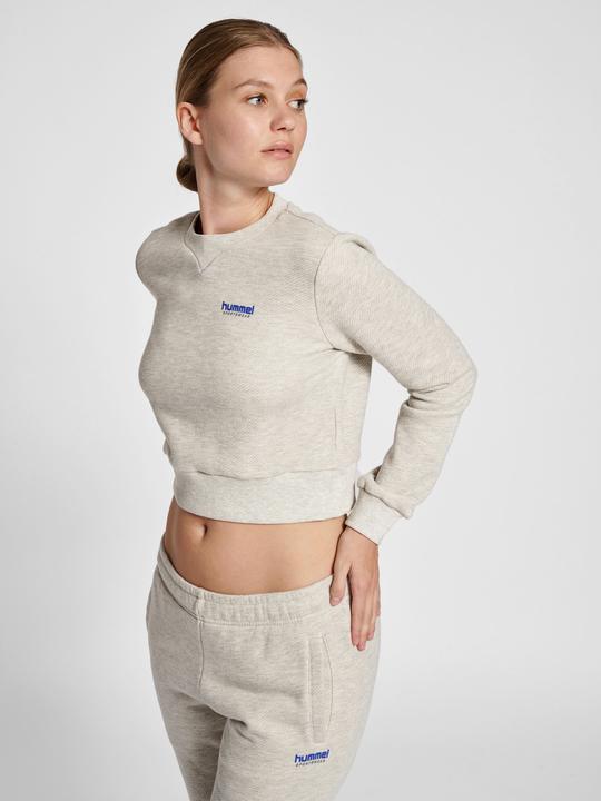 Image du produit hummel Lgc Shai Short Sweatshirt (XL)
