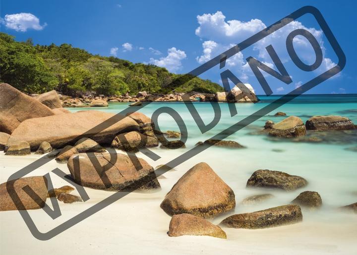 Actual product image Dino Puzzle 2000 pieces Beach (2000 pieces)