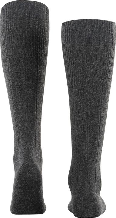 Actual product image Falke Lhasa Rib Men (43 - 46)