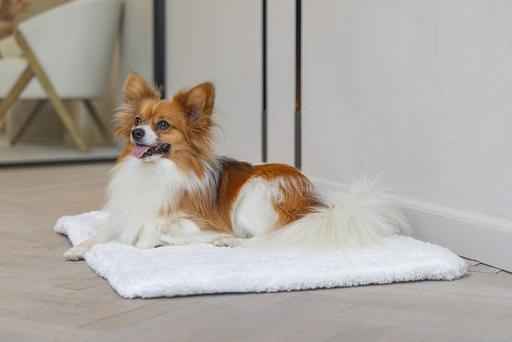 Actual product image Designed by Lotte Ligra (Dog)