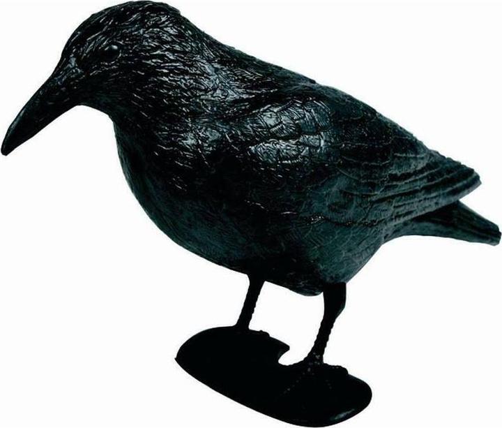 Image du produit Siena Garden Raven