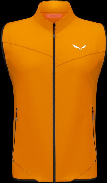 Image du produit Salewa Gilet Pedroc DST Light (54)