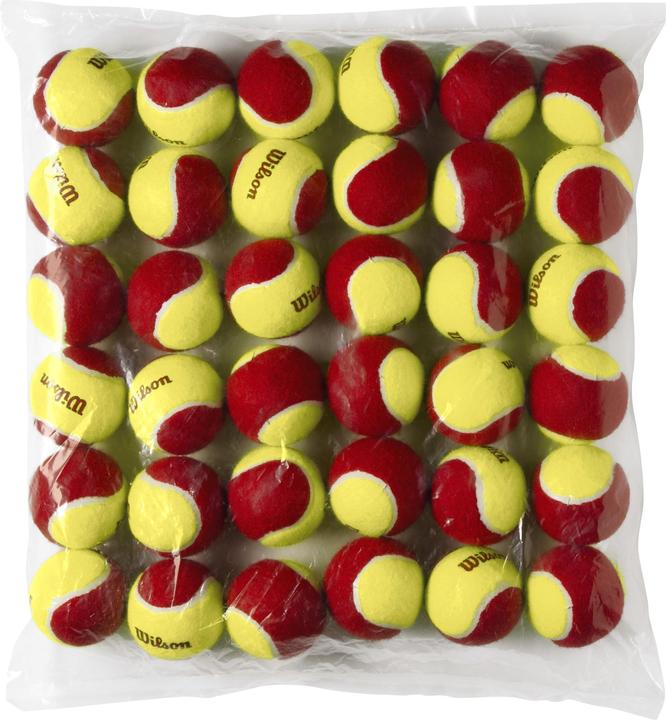 Wilson Starter Red Tball 36 Pack