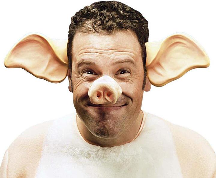 Actual product image Widmann Pig nose