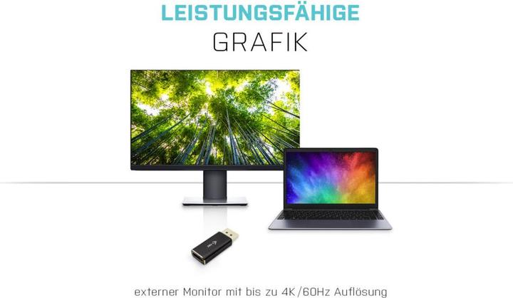 Actual product image i-tec DisplayPort zu (HDMI, 5 cm)
