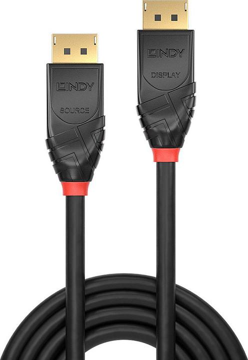 Actual product image Lindy DisplayPort — DisplayPort (20 m, DisplayPort)