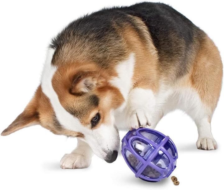 Actual product image PetSafe Kibble Nibble dog snack toy