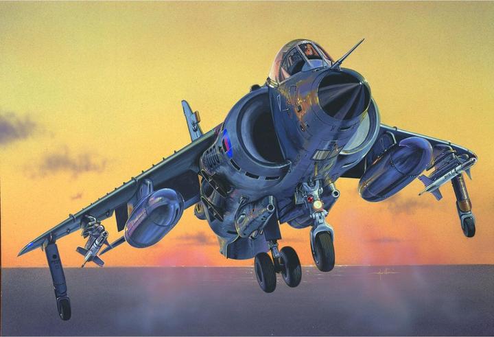 Actual product image Italeri Sea Harrier FRS.1