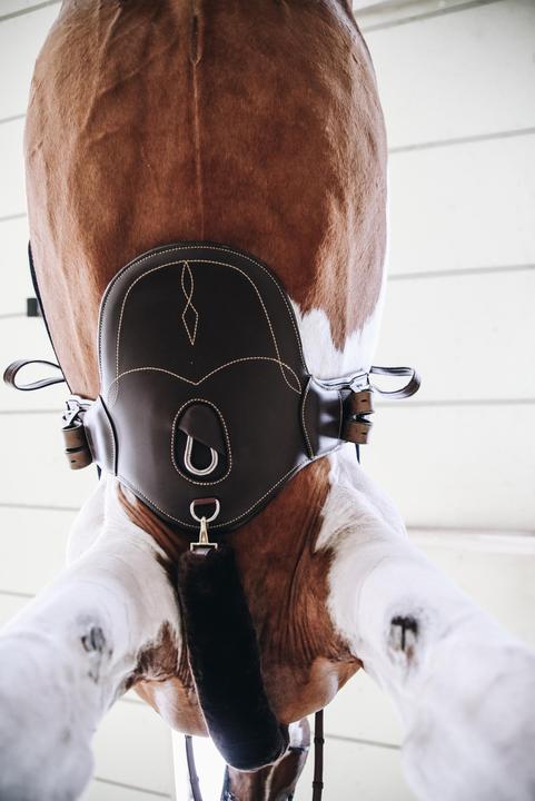 Actual product image Kentucky Horsewear Short riding girth