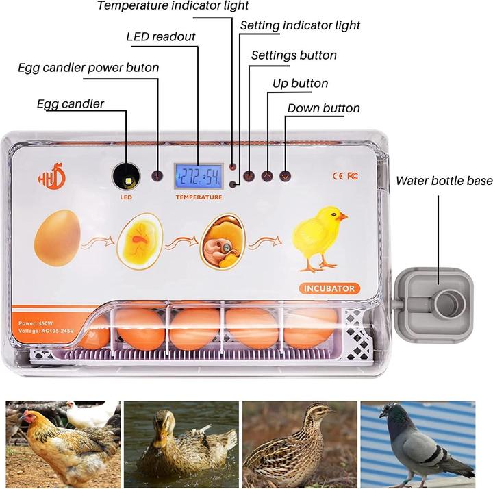 Actual product image MasXirch Inkubator