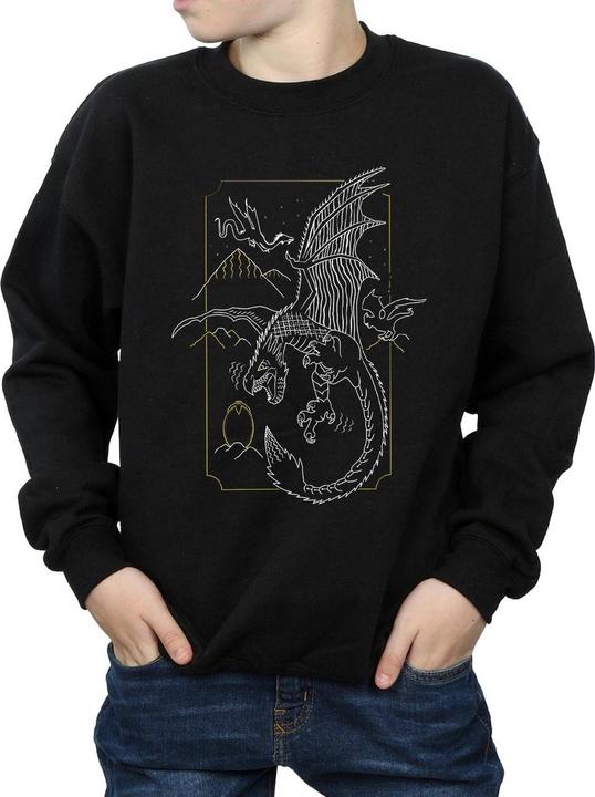 Image du produit - Sweat DRAGON LINE ART - Garçon (116)