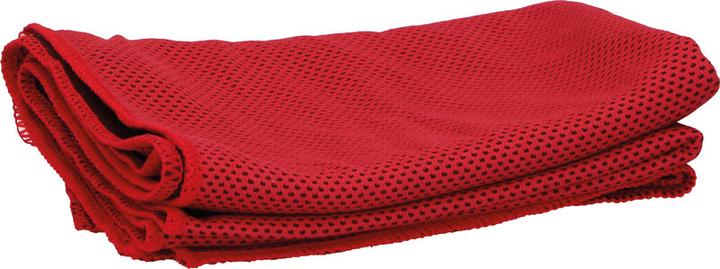 Immagine prodotto Dunlop telo rinfrescante (90 x 30 cm)