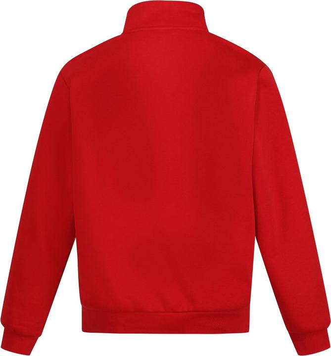 Image du produit Regatta Sweat-shirt à zip quart homme Pro (M)