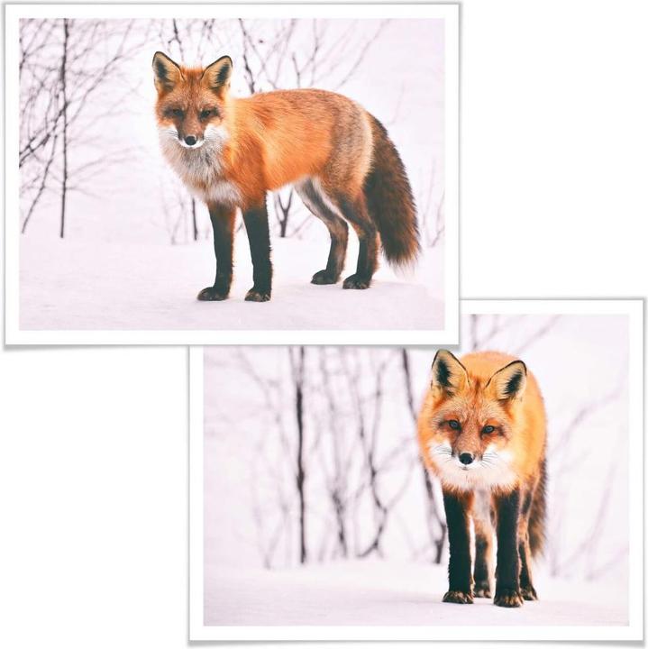 Actual product image Trenddeko Fox in the snow - 2 parts (80 x 60 cm)
