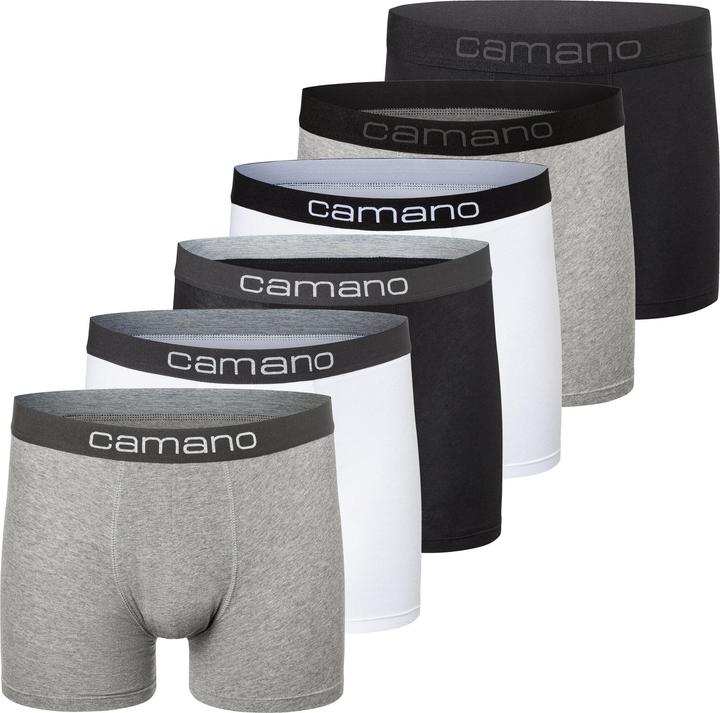 Camano Men comfort BCI cotton Boxershorts 6p in Box