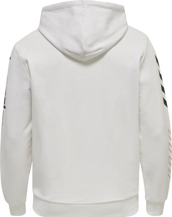 Image du produit hummel Lgc Birk Hoodie (S)