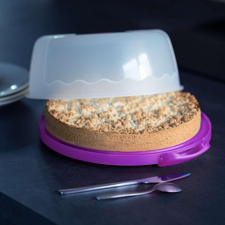 Actual product image Intirilife Cake transport container