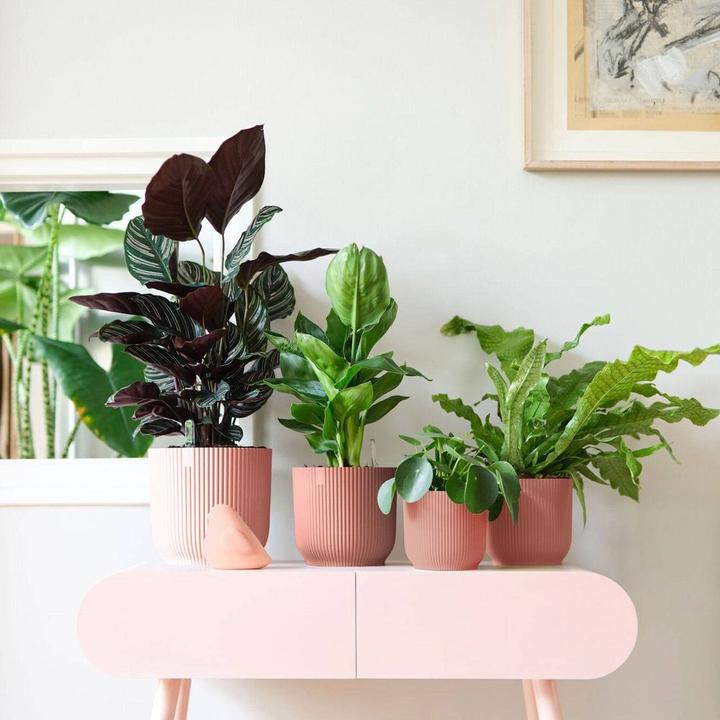 Immagine prodotto Elho Vibes Fold (22 cm)