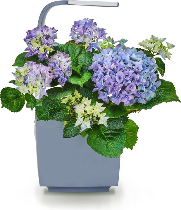 Produktbild Tregren Kräutertopf T3 (19.50 cm)