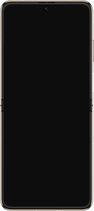 Produktbild Huawei P50 Pocket (512 GB, Premium Gold, 6.90", Dual SIM, 40 Mpx, 4G)