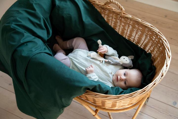 Actual product image Sebra Activity cuddle cloth