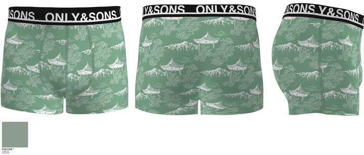 Produktbild Only & Sons Onsfloyd Aop Trunks 1-Pack (XXL)