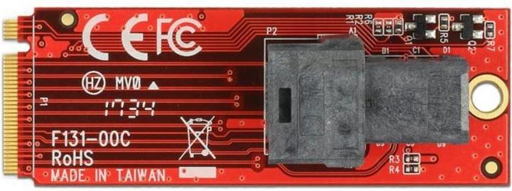 Actual product image Delock M2 - U2 SFF-8643 adapter