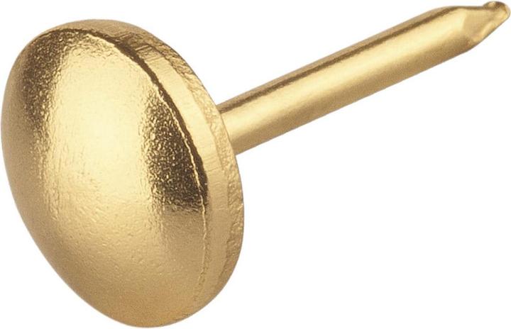 Immagine prodotto Suki Chiodo da tappezziere 10x13mm (45 Pezzo/i, 13 mm)