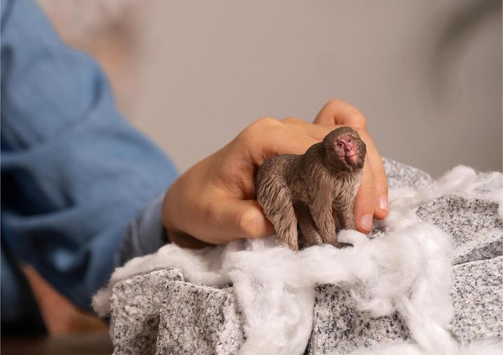 Actual product image Schleich Japanese macaque