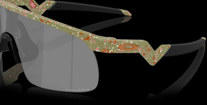 Image du produit Oakley Resistor (FERN TERRAZZO)