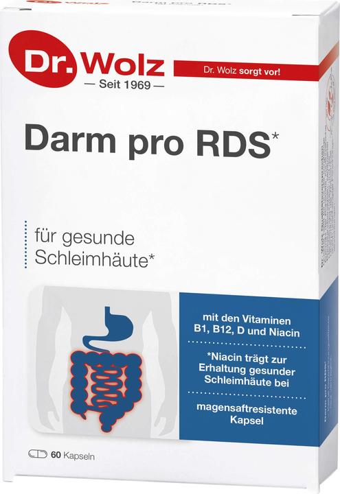 Produktbild Dr. Wolz Darm Pro Rds (60 Stück, 1053 ml, 75 g)