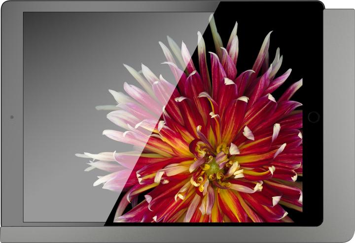 Produktbild Viveroo 510151PD iPad Wandhalterung anthrazit lackiert