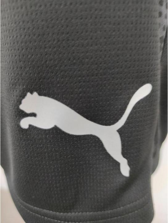 Actual product image Puma teamCUP Training Shorts (S)
