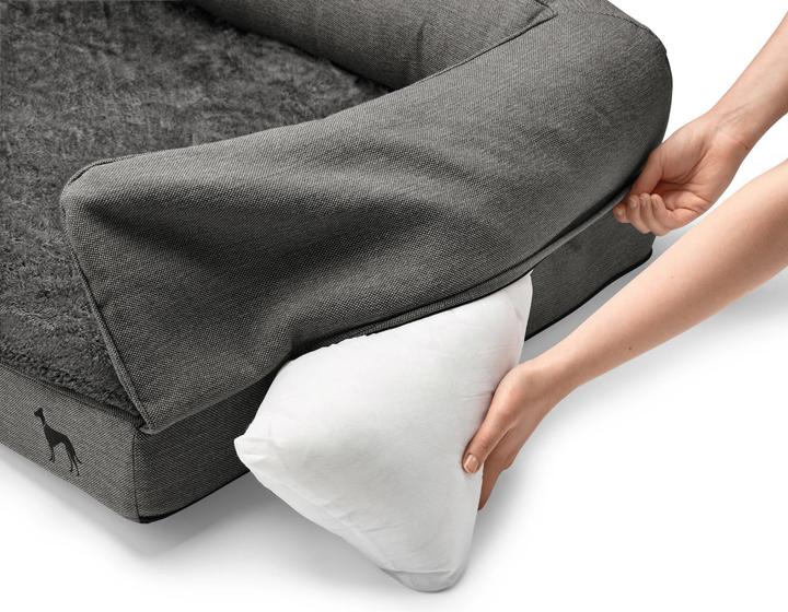 Actual product image Hunter Livingston (Dog)