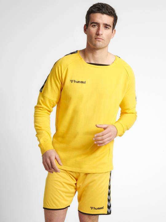 Image du produit hummel Sweat D'Entraînement Authentique (XXL)