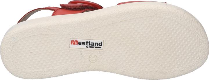 Actual product image Westland 25408-409 (38)