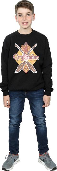 Immagine prodotto Gryffindor Lozenge Felpa Ragazzi (116)