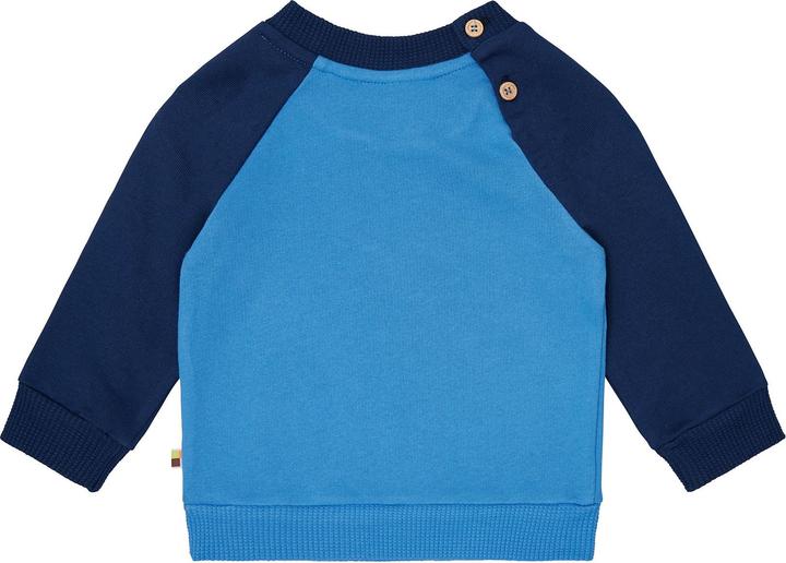 Immagine prodotto loud + proud Felpa con maniche raglan (68)