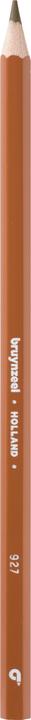 Actual product image Bruynzeel Colored pencil Colorexpress (Ochre)