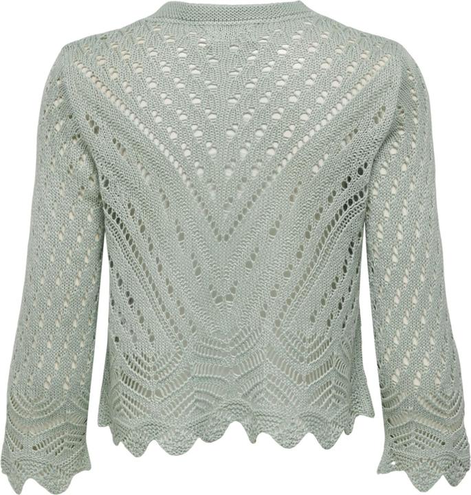 Image du produit JdY Cardigan cropped (L)