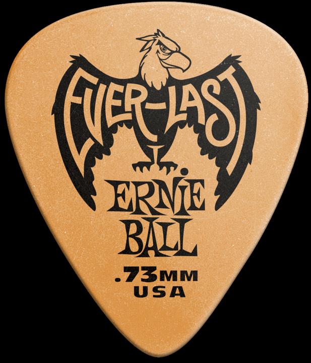 Immagine prodotto Ernie Ball Everlast (12 x, 0.73 mm)