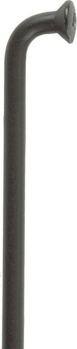 Actual product image DT Swiss Champion M