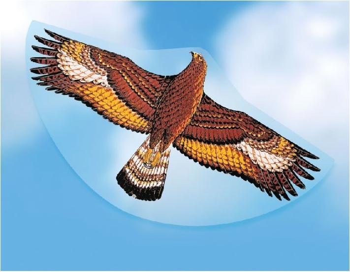 Immagine prodotto Günther Flugspiele Steinadler