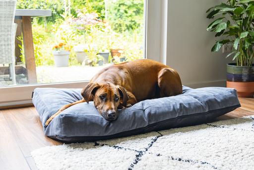 Actual product image Beeztees Bz Orthopedic Rest Cush Veo Dgrey 100x70 (Dog)