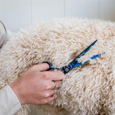 Produktbild Mikki Doodle Schaar Recht - 18 Cm (Hund)